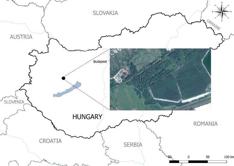 talaja és növényzete alapján három fő részre osztottam, és kijelöltem a meddőhányó mellett egy háttérnek tekinthető területet, valamint egy távolabb eső erdős területet. 1.