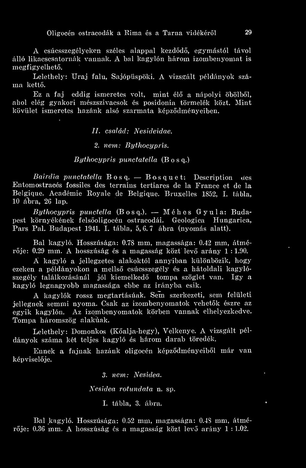 Bythocypris punctella (Bosq.). Méhes Gyula: Budapest környékének felsoligocén ostracodái. Geologica Hungarica, Pars Pál. Budapest 1941. I. tábla, 5,6.7 ábra (nyomás alatt). Bal kagyló. Hosszúsága: 0.