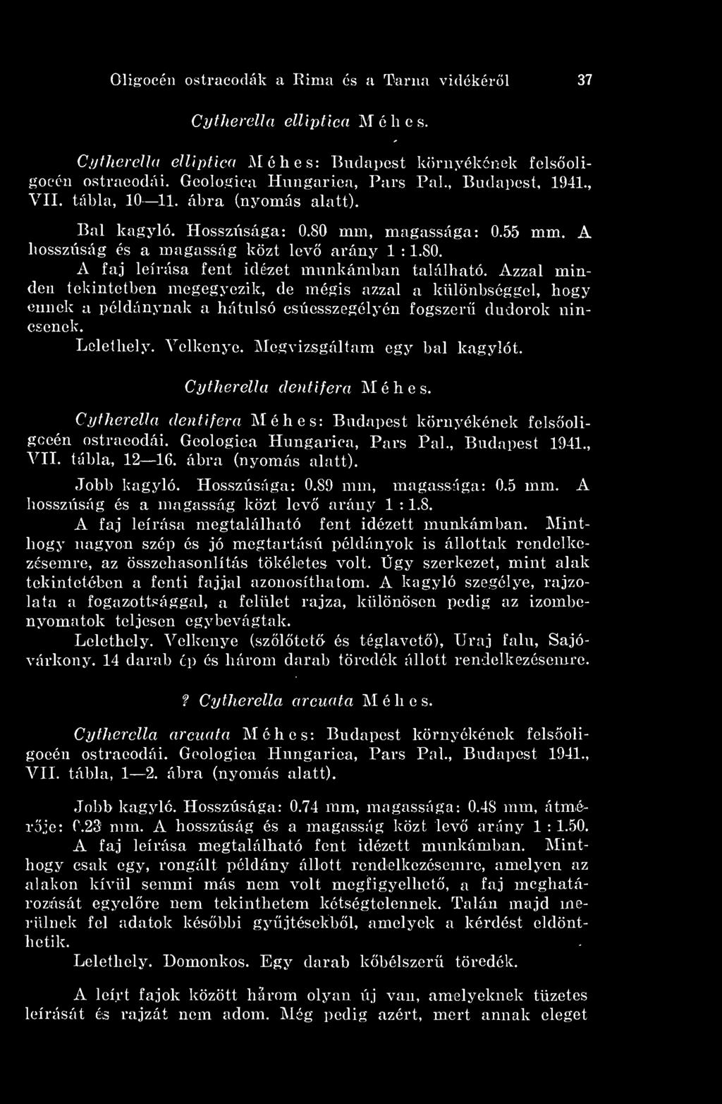 Azzal minden tekintetben megegyezik, de mégis azzal a különbséggel, hogy ennek a példánynak a hátulsó csúcsszegélyén fogszer dudorok nincsenek. Lelethely. Velkenye. Megvizsgáltam egy bal kagylót.