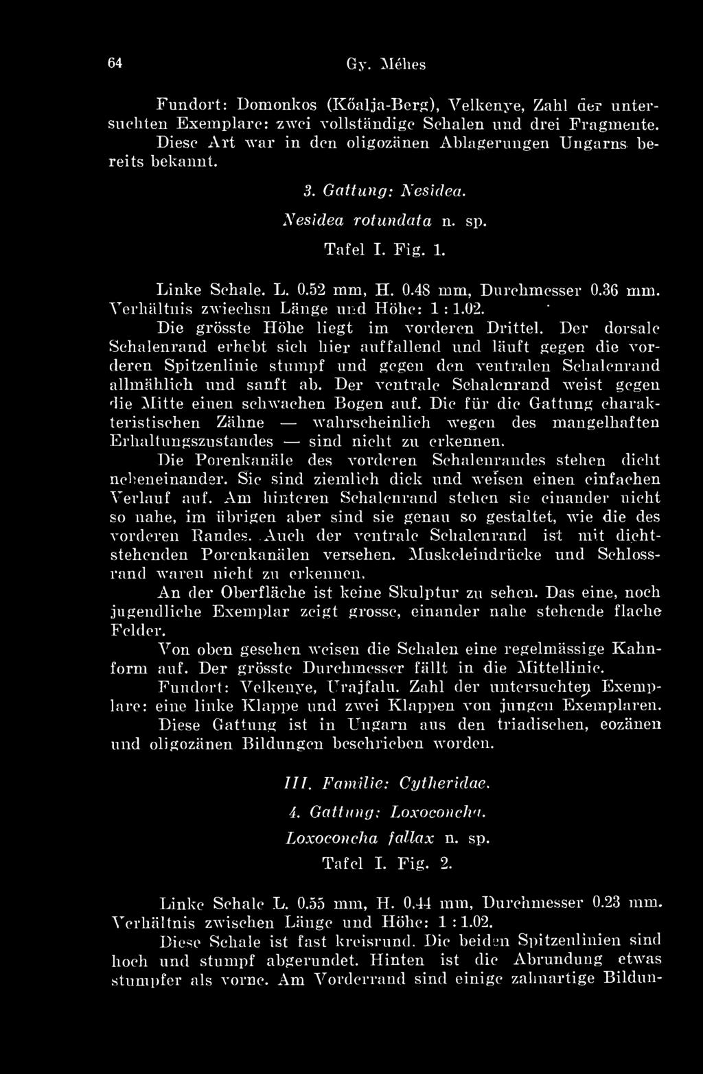 Verhaltnis zwiechsn Lángé und Hbe: 1 : 1.02. Die grösste Hbe liegt im vorderen Drittel.