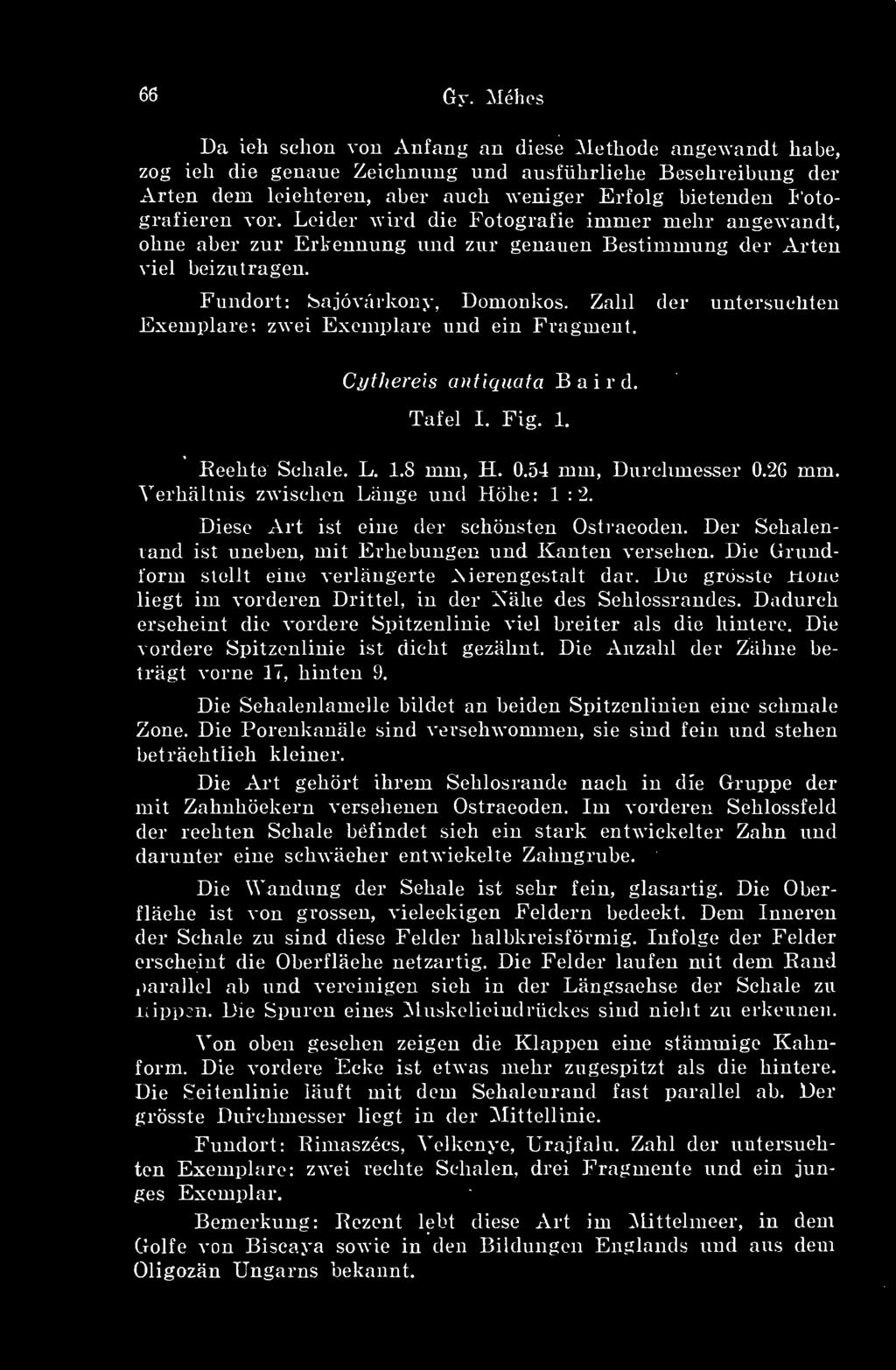 Fotografieren vor. Leider wird die Fotografie imnier mehr angewandt, oline viel aber zr Erkennung und zr genauen Bestimmung dér Arten beizutragen. Fundort: Sajóvárkony, Domonkos.