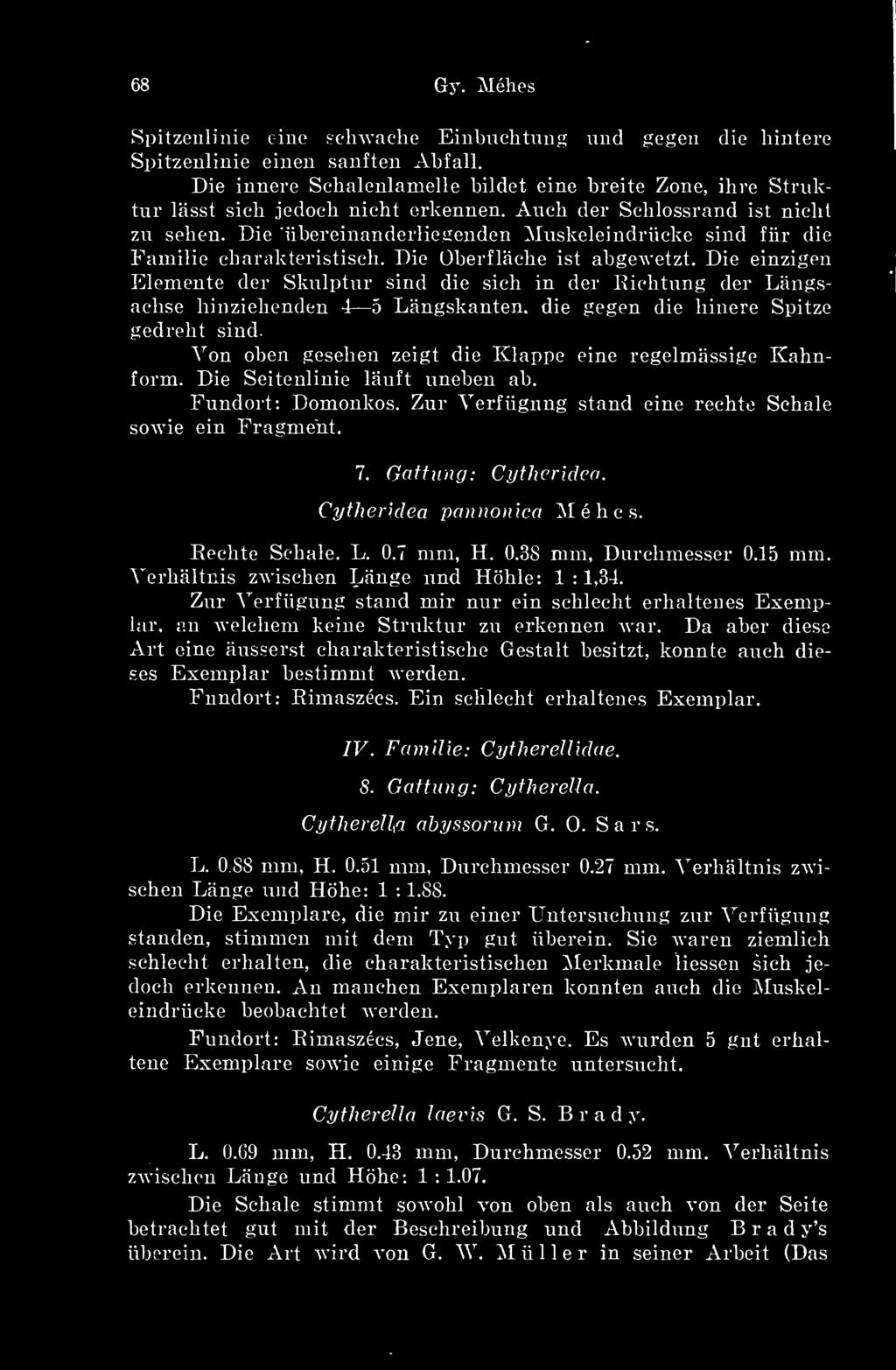 Die iibereinanderliegenden Muskeleindrücke sind für die Familie cbarakteristiseli. Die Oberfliieke ist abgeavetzt.