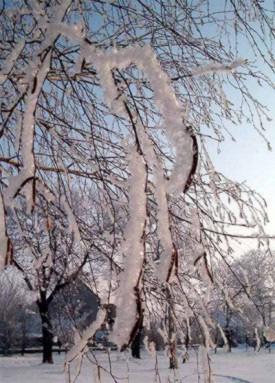 10.ábra:a, Harmatcseppek képződése a fűszálakon b, Szabályos jégkristályok a levelek szélein, c)zúzmara képződése faágakon Zúzmara: köd, szeles idő A zúzmara képződéséhez 0 fok alatti hőmérséklet,