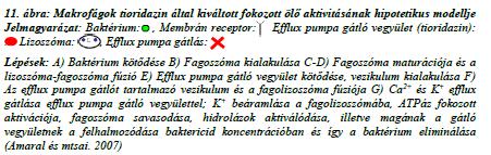 Efflux pumpa gátló