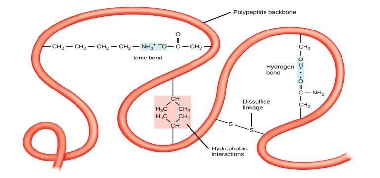 molecule