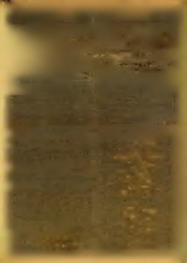 N em tagok nak előfizetési d í j : E gész é v re 6 K o ro n a, fél é v re 3 K orona és év i K d rá g a s á g i f e lá r. Szerkeszti: RÉPÁSSY MIKLÓS. Szerkesztőség: Budapest, Földmív. minisztérium (V.