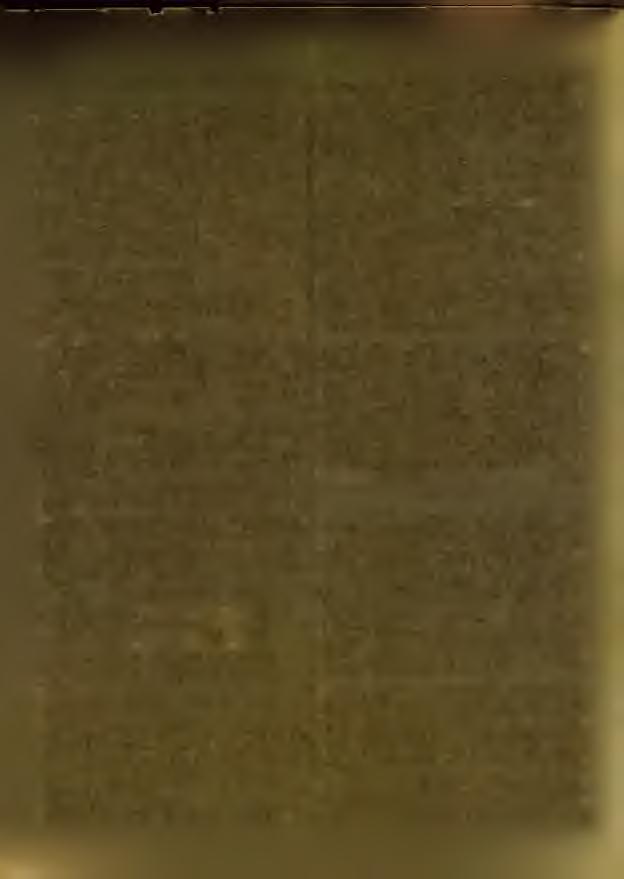 A múlt évi zárószámadásokat 4545*36 korona bevételi, 33*60 korona kiadási és 1291*76 korona maradványösszeggel rendben találták.