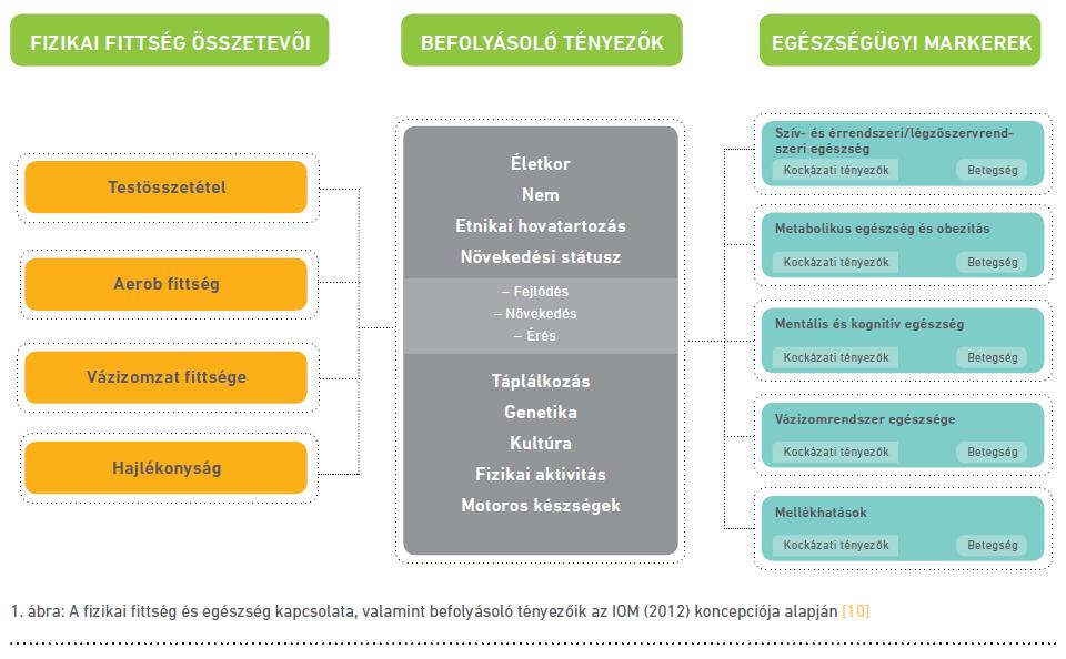 A fittségi állapot