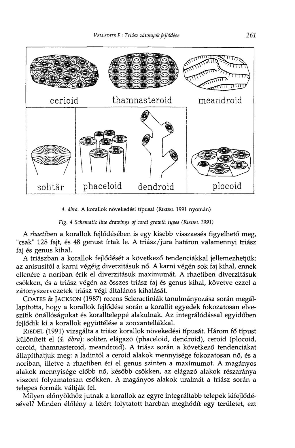 VELLEDITS F.: Triász zátonyok fejlődése 261 4. ábra. A korallok növekedési típusai (RIEDEL 1991 nyomán) Fig.