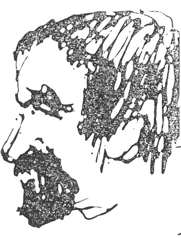 în amurg. Ford. Aurel Buteanu. 1962. Műfordítása: Jean Lafitte: Életre halálra. 1949. Tamás Mária (Sárkány, Brassó m., 1930. XI. 8.) költő, prózaíró. Kolozsváron él. Művei: Csibe Kati. 1955.