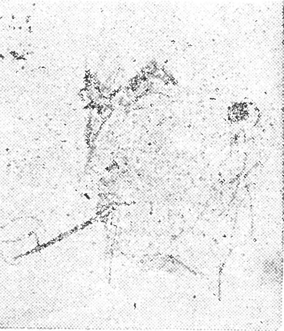 Mikó Ervin (Szamosborhíd, Szatmár m., 1919. VIII. 28.) riporter. Az Utunk belső munkatársa. Művei: Zsilvölgyi jelentés. 1955. A névtelen utas. 1958. Nádország ostroma. 1960. Havasi neonfény. 1961.