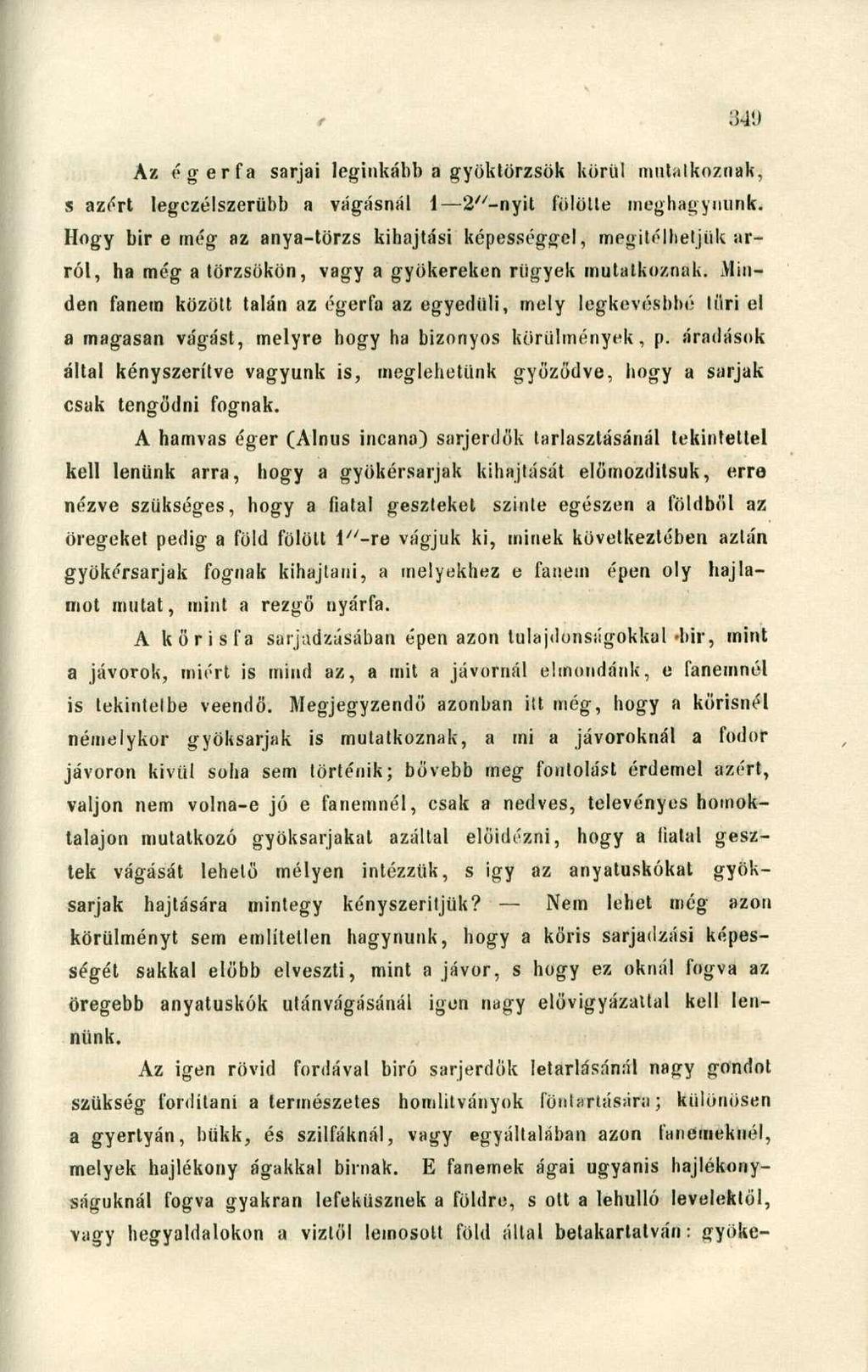 849 Az égerfa sarjai leginkább a gyöktörzsök körül mutatkoznak, s azért legezélszerübb a vágásnál 1 2^-nyit fölötte meghagynunk Hogy bir e még az anya-törzs kihajtási képességgel, megítélhetjük