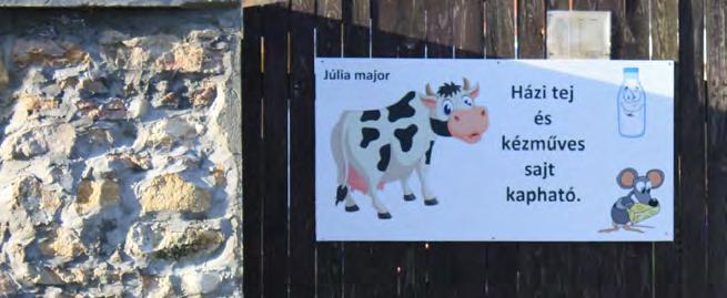 Sőt, ellenkezőleg.