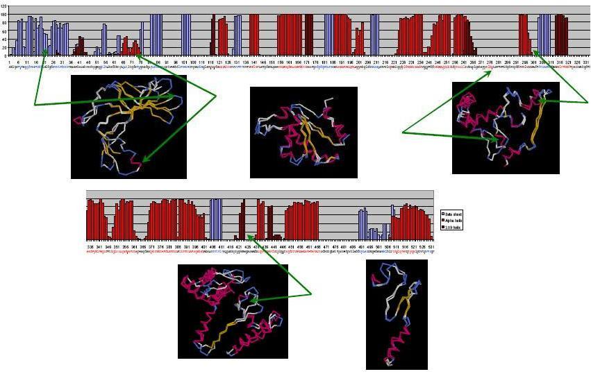 4. fejezet. Eredmények riábilis régió. Ezen a területen kívül az eljárás szinte mindenhol a megfelelő másodlagos térszerkezetet prediktálta. 4.3. ábra. Alfa-béta hidroláz fehérjecsalád. A 4.