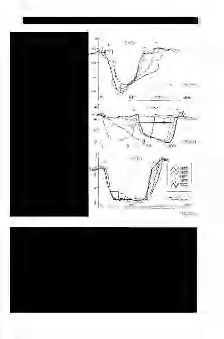 NAGY A. et al: Új, kombinált módszerek a Közép-Tisza jelenkori mederképződményeinek jellemzésére 135 12. ábra.