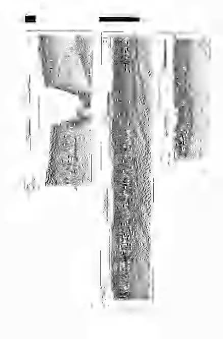126
