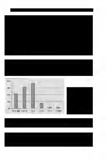 NAGY A. et al: Új, kombinált módszerek a Közép-Tisza jelenkori mederképződményeinek jellemzésére 129 i 4. ábra.