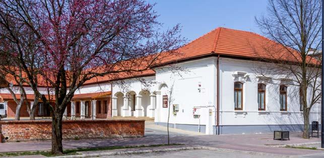 A ma már sokrétű feladatot ellátó intézmény 1968-ban jött létre a finkei városrészben lévő Miklós-Gömöry kastélyban, mint Időskorúak Szociális Otthona.