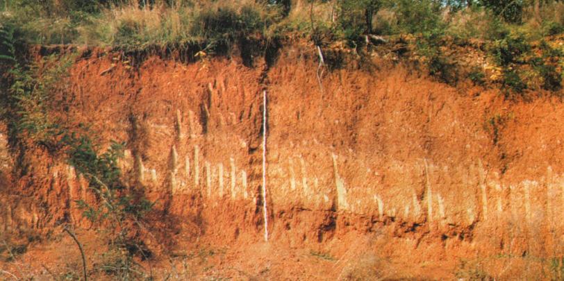 Az Akácos-hegy kőbányájában megmetszett domboldal rétegsora.
