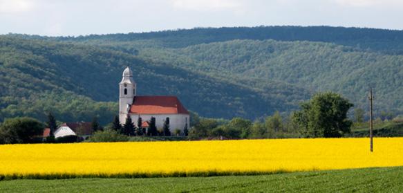 Edelény-Borsodi Református Egyházközség (Mészáros) Az Edelény-Borsodi Református gyülekezet temploma a borsodi földvár dombján, de annak egykori sáncain kívül épült 11.