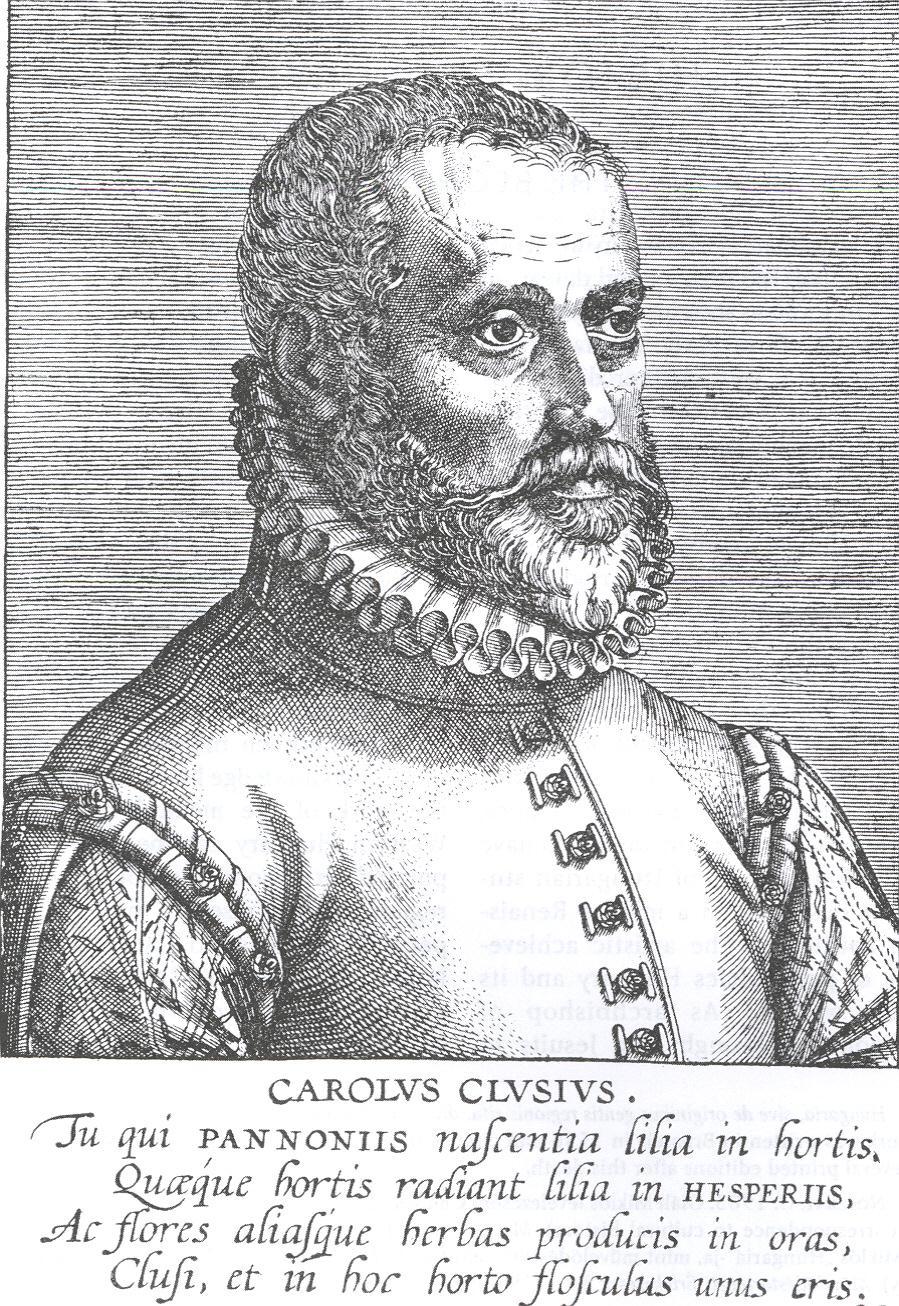 1576