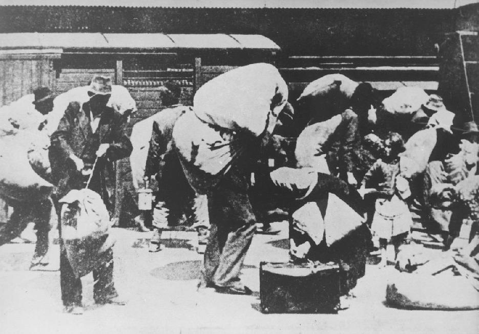 4. SEGÉDANYAG A II. világháború során milliók estek áldozatul a tömeges kivégzéseknek, deportálásnak, éhínségnek, kényszermunkának, koncentrációs táboroknak és bombázásoknak.