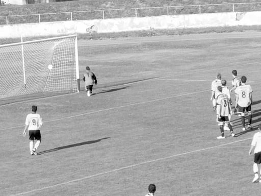 2010. március Zselízi Hírmondó 11 A hazaiakra építenek A zselízi csapatok a tavalyi kettős feljutás után (felnőttek és az i úsági csapat) a magasabb osztályokban is hősiesen szerepelnek, az első