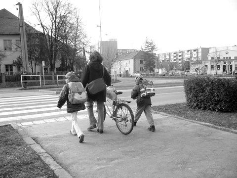 Z2010. március, XI. évfolyam S E L Í Z I H Í R M O N D Ó V á r o s i ú j s á g 93701@pobox.