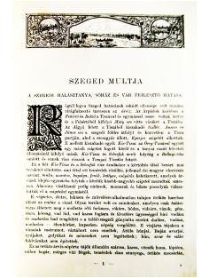 tétel