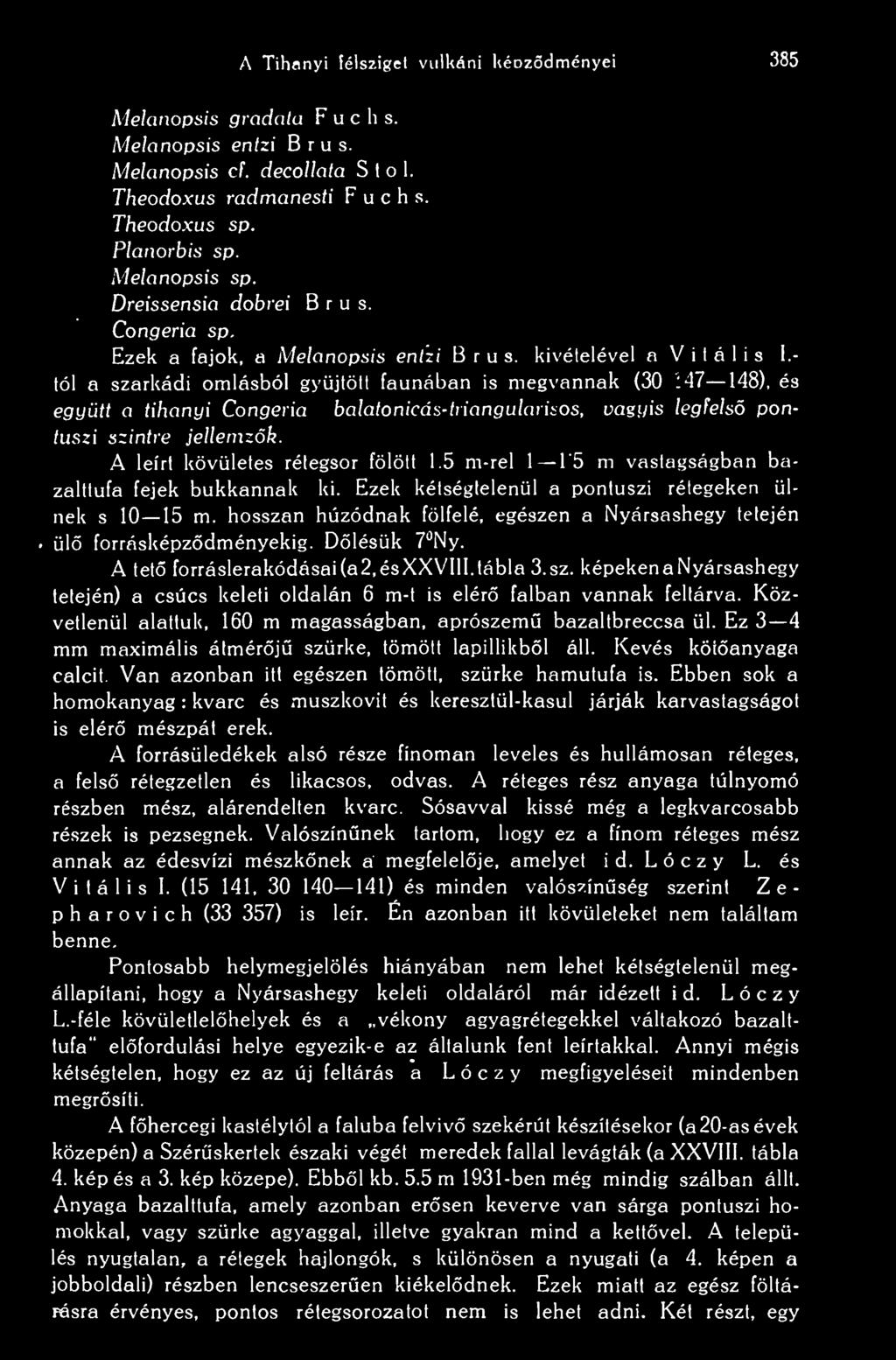 A Tihanyi félsziget vulkáni kéozdményei 385 Melanopsis gradata F u c h s. Melcinopsis entzi B r u s. Melanopsis cf. decollata S t o 1. Theodoxus radmanesti F u c h s. Theodoxus sp. Planorbis sp.