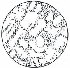 D E 12