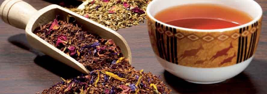 Rooibos teák 43080 43085 43289 43051 43074 43297 43064 43060 43300 43059 43278 43281 43293 43276 43295 43065 HONEYBUSH Tradícionális, vadon termő dél-afrikai tea egy könnyű és édes karakterrel.