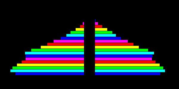 JELLEMZŐI: stagnáló népesség korfája: méhkas alakú, a fiatalok (gyermekkorúak: 20-25%) és a középkorúak aránya magas és közel azonos, csak az idősebb