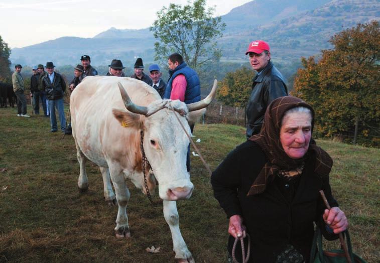 alkalmi randevú Kolumbia