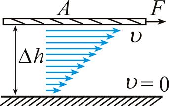 Belső súrlódás reális folyadék turbulens áramlás (gomolygó) lamináris áramlás (réteges) 0 Newton-féle súrlódási