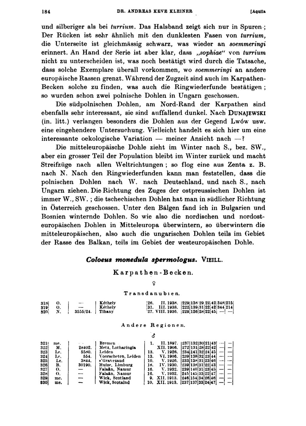 184 DR. ANDREAS KEVE KLEINER [Aquila und silberiger als bei turrium.