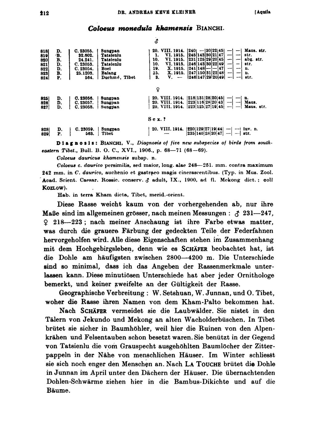 DE. AKDRÄA8 tfävä tflä ltfßft [ Aquila Coloeus monedula khamensis B ia n c h i. 818 D. C. 23055. Sungpan 20. VIII. 1014. 240 30 22 45 Maus. str. 810 B. 32.602. Tatsienlu 1. VI. 1015.