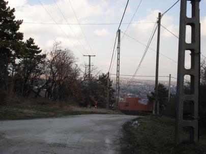Hatályos TSZT Hatályos SZT A Szarvas utca és a Fácános utca sarkán fekvő 875. hrsz.