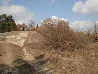 akkori szándékának megfelelően. Az 1378/6-1378/12. hrsz.