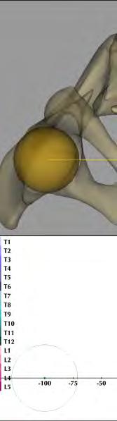 vizsgálat (a,d) (a, térbeli re ekonstrukció (b,e) ( és csigolyyavektor-alapú ú megjelenítéss (c,f); Középső