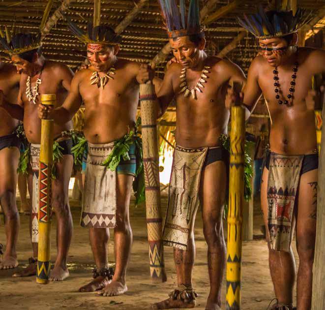 Nagy Brazília Kultúra és látnivaló Magyar Idegenvezető Csoportos körutazás Természeti látnivalók Az áthatolhatatlan amazóniai esőerdőben mintegy 240 indián törzs él, sokuk teljesen elszigetelten.