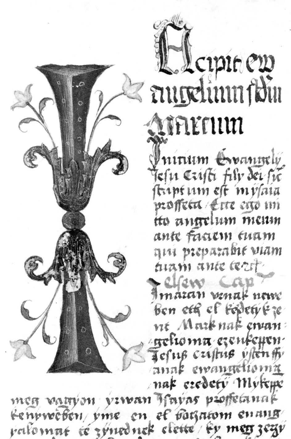 394 A loukai premontrei kolostor számára készít tette Pál apát 1499-ben azt a hatalmas méretű gra duálét, amelynek címlapján, széles kolumnában, szinte a Cassianus-mester kezére ismerünk (13. kép).