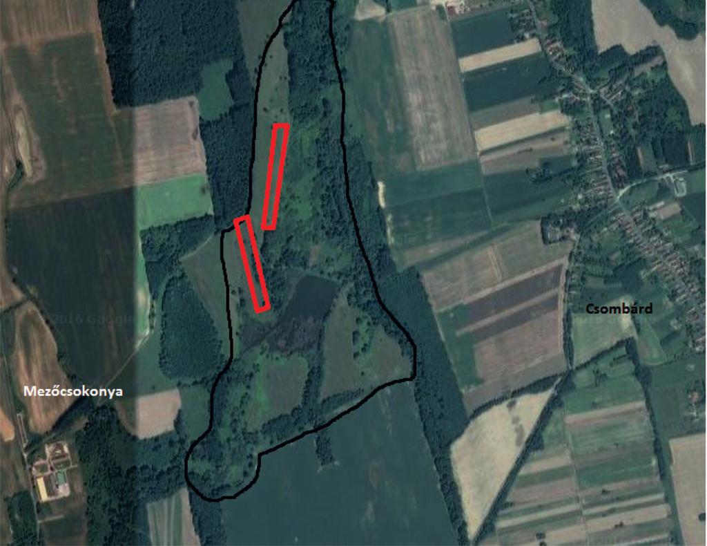 180 Natura Somogyiensis Anyag és módszer Az 53,4 hektár nagyságú Csombárdi-rét Természetvédelmi Terület a Dunántúlidombságban, azon belül a Belső-Somogyi-homokvidék keleti határán terül el (Dövényi