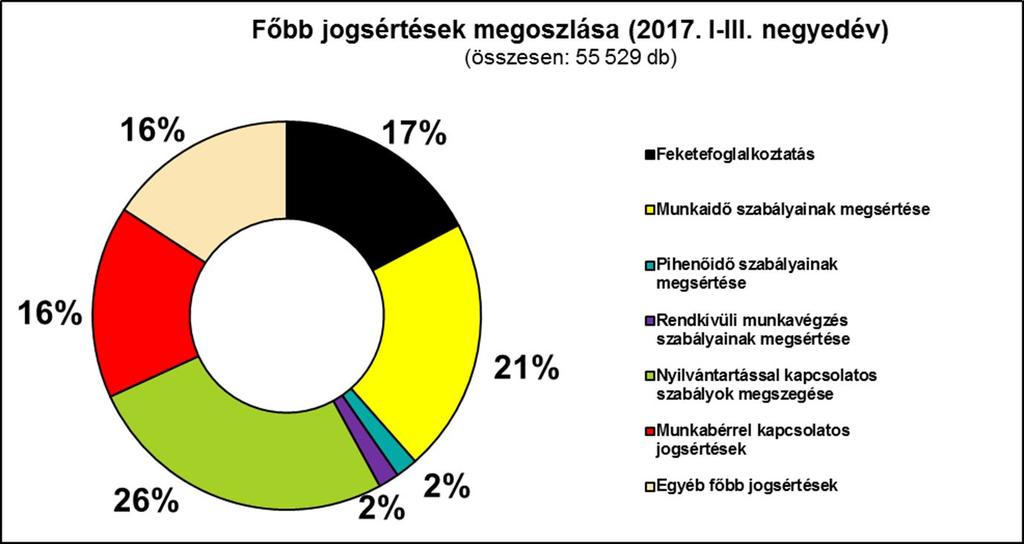 11 Jelentős számban előforduló munkaügyi szabálytalanság (2017.