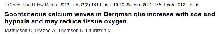 - glia Ca++ hullám: szignálterjedés glia neuronok erek között - spontán Ca++ hullámok 20x gyakoribbak öreg állatokban, mint felnőttben és - ez korrelál a nyugvó agyi oxigén tenzióval - felnőtt