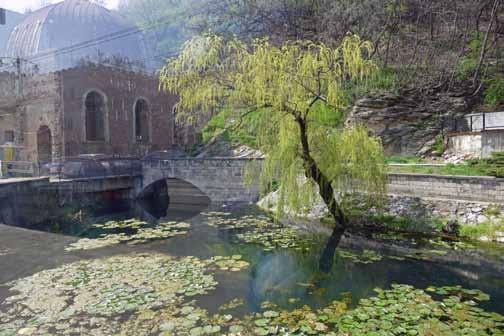 Magyari