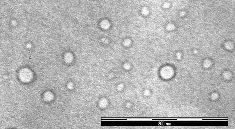 Relatív aktivitásn - 1,0 0,8 0,6 0,4 0,2 0,0 1 2 3 4 5 6 7 8 20. ábra Természetes ( ) és védőrétegbe burkolt ( ) α-kimotripszin enzim nanorészecskék aktivitása különböző ph-értékeken 3.4.2 Celluláz enzim komplex 3.