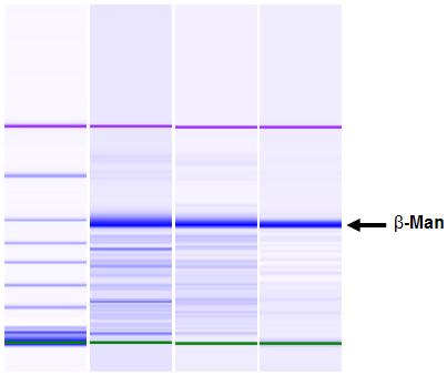F4: Thermobifida fusca GH2 beta-mannozidáz enzim jellemzői swiss_prot entry name: Q47RG4_THFY M w : 93080,20 pi: 4,78 1 MAVRILRN WVLRADDPA VPVIGPAGI PATVPGCVHT DLMAANLIPD PYQGRNTL GWIGRTQWSY 71