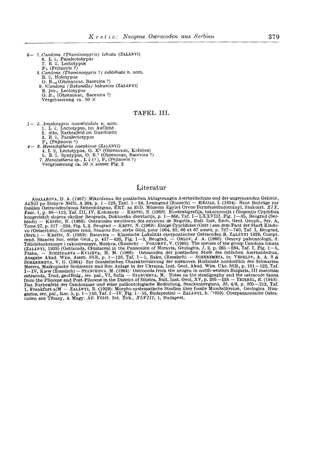 Krstic: Neogene Ostracoden aus Serbien 379 «1.Candona (Thaminocypris) labiata () 6. L, Paralectotypus 7. R, Lectotypus P 3 (Pejinovic?) 5. Candona (Thaminocypris? ) sublabiata n. nom. R, Holotypus O.