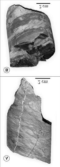 218 MÉSZÁROS Előd et al.